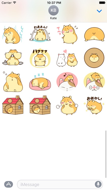 Petit Hamster