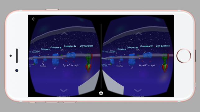 Mitochon VR(圖2)-速報App