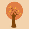 no app image
