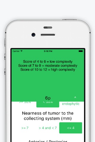 Nephrometry Score screenshot 2