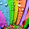 Rainbow Wallpapers HD for Home & Lock Screens Free