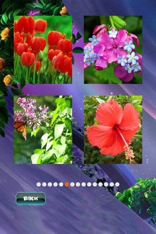 Spring Jigsaw Puzzles screenshot 4