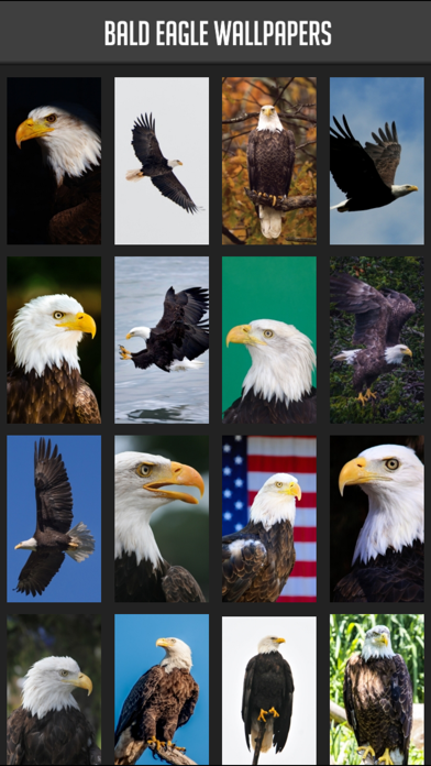 How to cancel & delete Bald Eagle Wallpapers from iphone & ipad 1