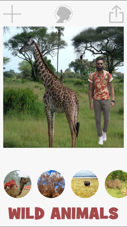 Animals photomontage with cut and paste photos screenshot-3