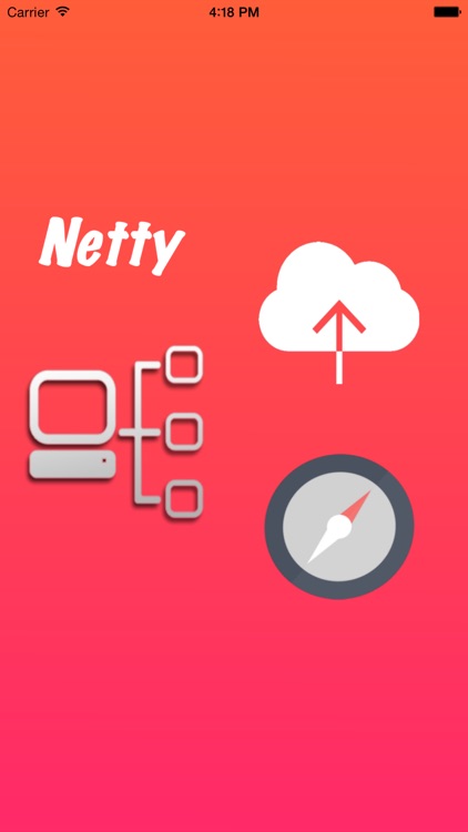 Netty  Network Analyzer