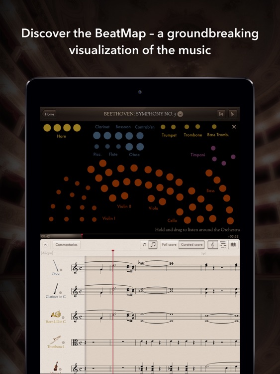 The Orchestra