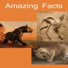 New Amazing Facts