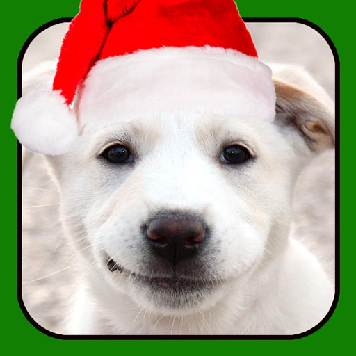 A Christmas Talking Puppy for iPad icon