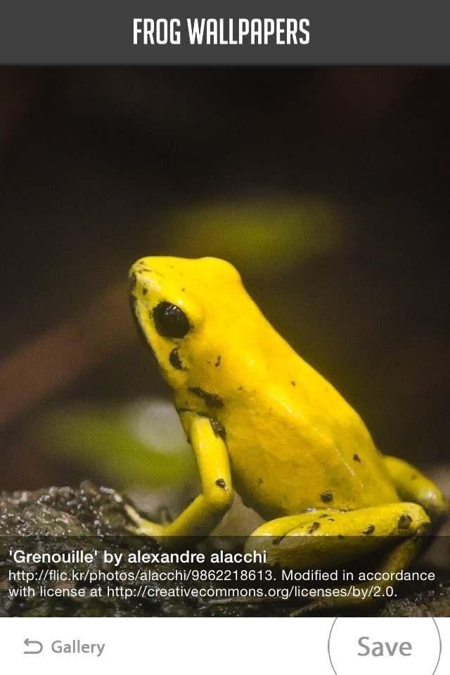 Frog Wallpapers screenshot 3