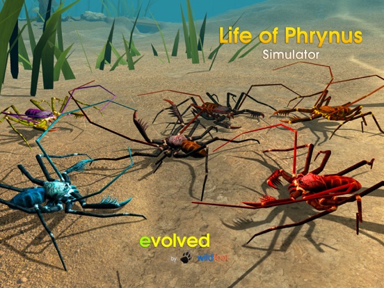 Life of Phrynus - Whip Spider для iPad