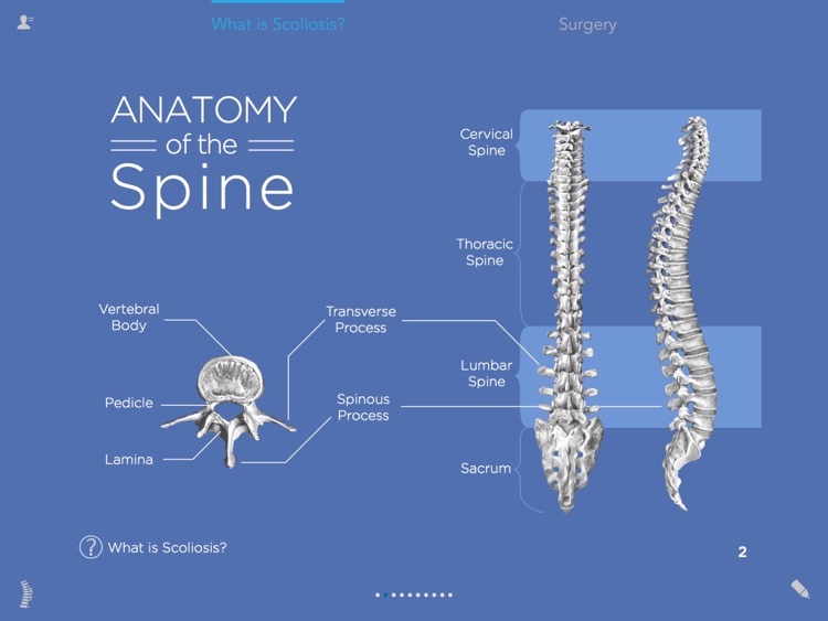 EngageMyHealth Spine