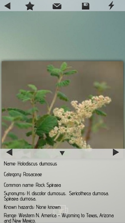 Medicinal Plants Collection HD screenshot-3