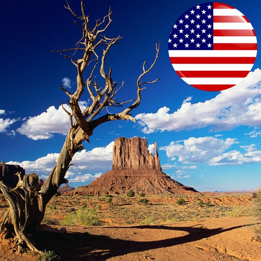 In Sight - USA