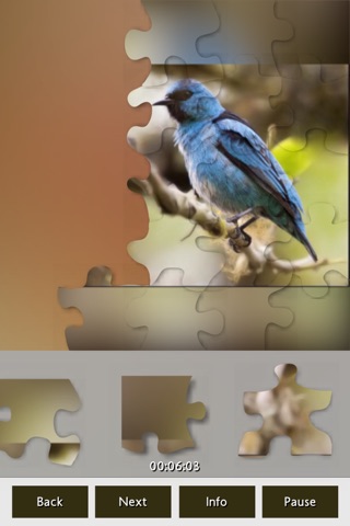 Puzzle Birds screenshot 3