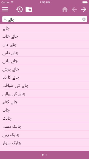 English - Urdu Dictionary Free(圖3)-速報App