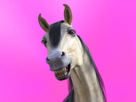 Have fun with emojis for Equestrians