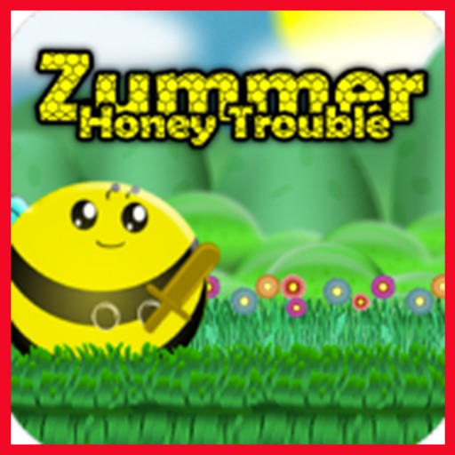 Adventures of Zummer iOS App