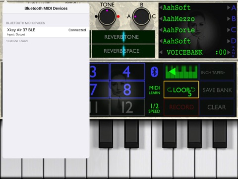 Sopranotron screenshot 2