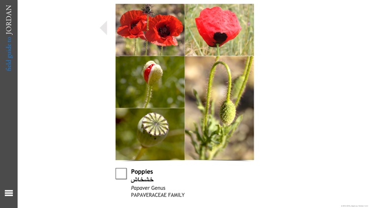 Field Guide to Jordan