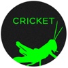 The Cricket