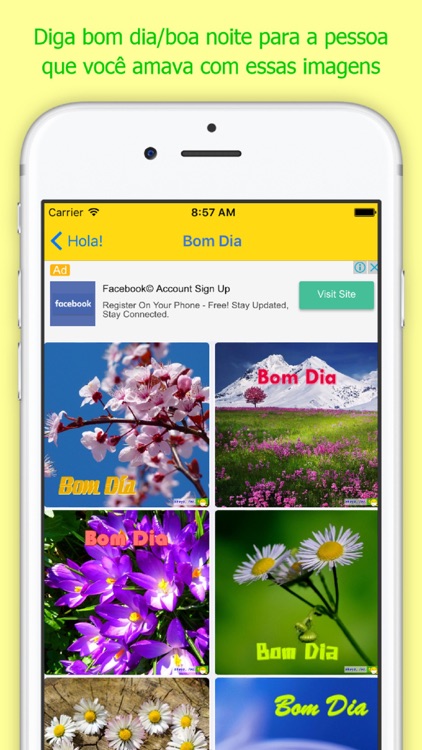 Hola! Bom Dia screenshot-3
