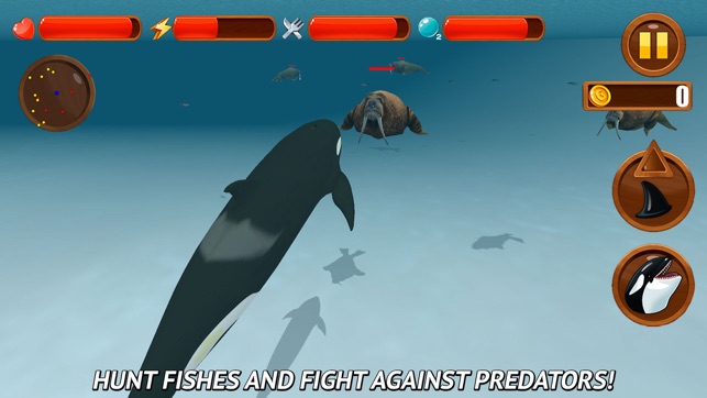 Angry Killer Whale: Orca Simulator 3D Full(圖2)-速報App