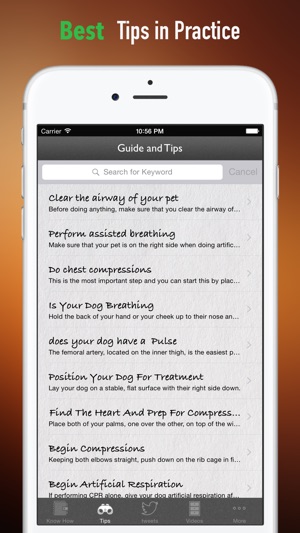 How to Perform CPR on Your Pet:Manual(圖4)-速報App