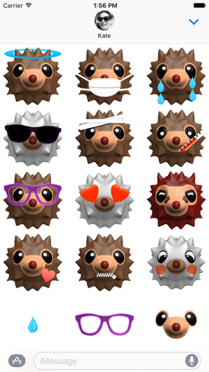 HedgeHoger Heads