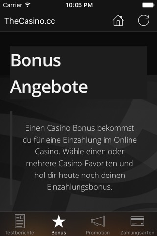 TheCasino.cc screenshot 3