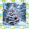 Christmas Picture Frames - Framatic