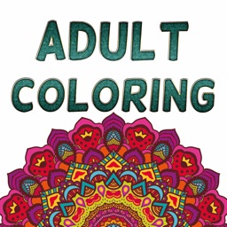Adult Coloring Book Color Therapy Pages Stress