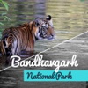 Bandhavgarh National Park