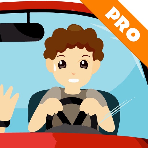 A Traffic Driving Simulator PRO