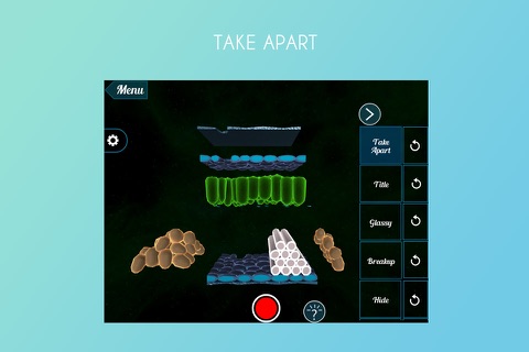 Epidermal Cell 3D screenshot 2