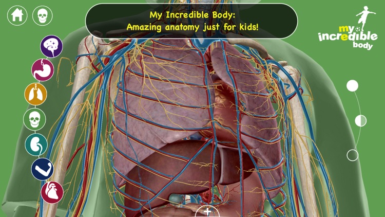 My Incredible Body - Guide to Learn About the Human Body for Children - Educational Science App with Anatomy for Kids