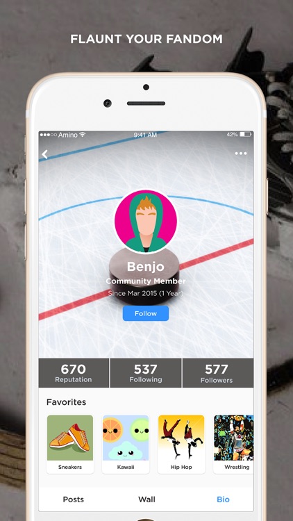 Chel Amino for: Hockey and NHL