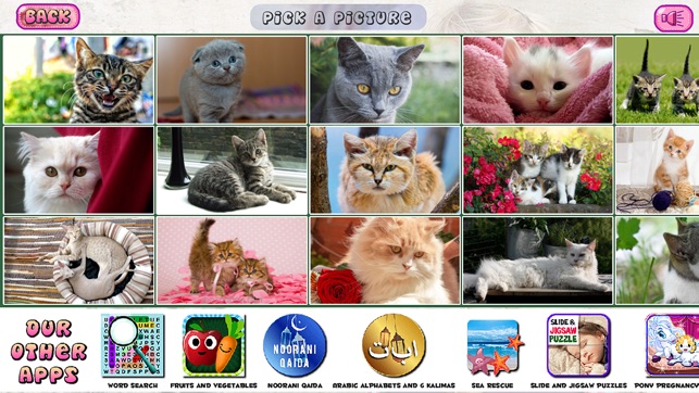 Puzzles of Kittens Free(圖3)-速報App