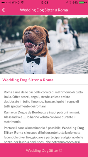 Wedding Dog Sitter(圖4)-速報App