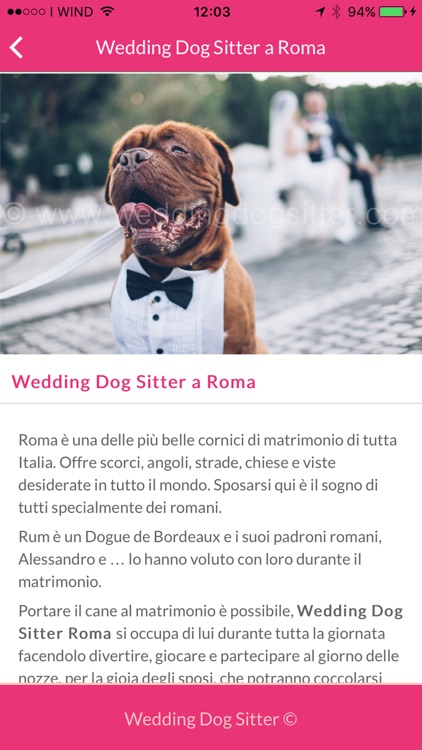 Wedding Dog Sitter screenshot-3