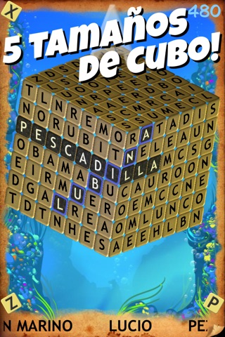 Word Head - 3D screenshot 4