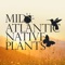 Download the App for Mid Atlantic Native Plants, an online wholesale plant nursery (with smaller orders accepted