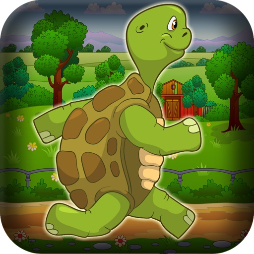 Super Flying Turtle iOS App