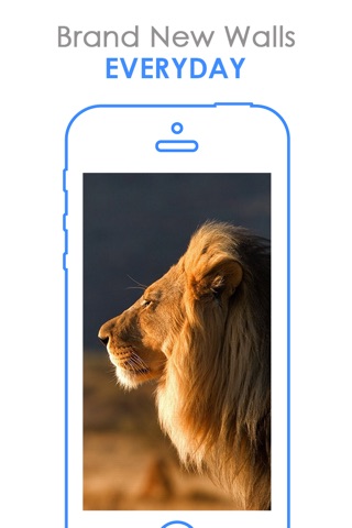 Lion Wallpapers HD | Great Roar King's Background screenshot 4