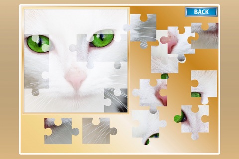 A Set Of Beautiful Jigsaw Puzzle Games screenshot 3