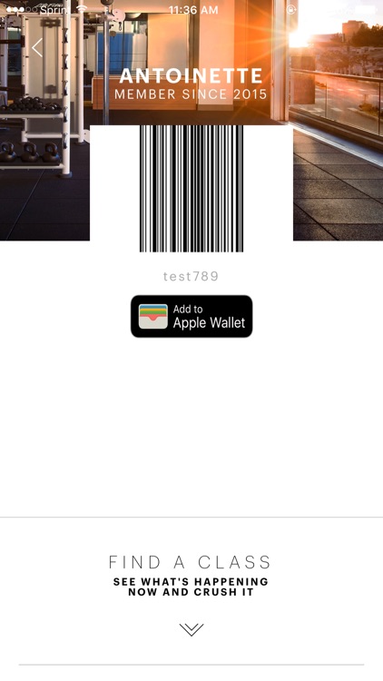 Equinox screenshot-3