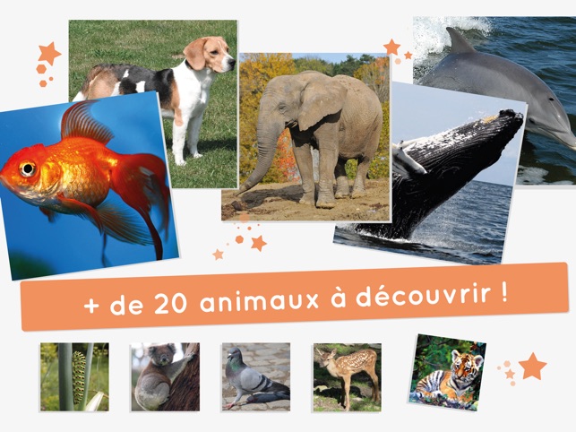 Puzzle-Animaux -- AMIKEO APPS(圖3)-速報App