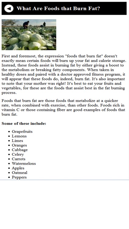 Food That Burn Fat screenshot-3