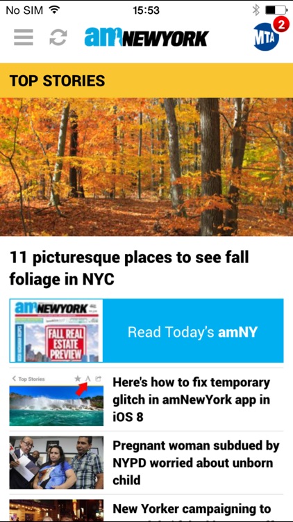 amNewYork