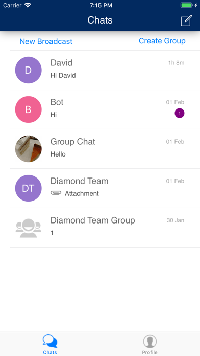Diamond Team Chat screenshot 3