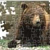 Brown Bear Jigsaw Puzzle
